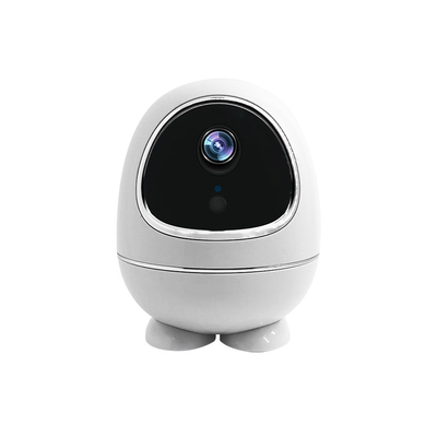 Kamera-inländisches Wertpapier-Baby-Monitor-Netz Wifi-Kamera PIR Motion Detection Smarts PTZ