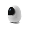 Kamera-inländisches Wertpapier-Baby-Monitor-Netz Wifi-Kamera PIR Motion Detection Smarts PTZ