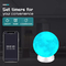 Magnetic Floating Smart WiFi LED-Licht 3D-Druck Mondschein-Wohnzimmer-Dekoration