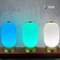 Glomarket Tuya Wifi 3D-Druck Intelligentes Laternenlicht 16 Millionen Farben Helle Anpassung