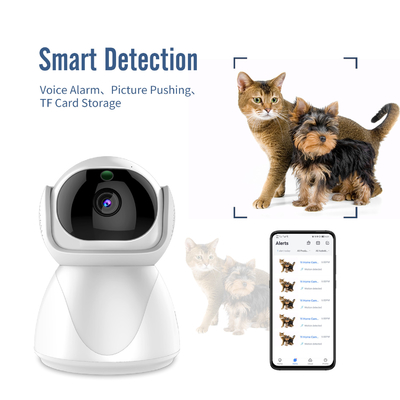 Überwachungskamera-Ausgangs-Mini Wifi Indoors PIR Motion Detection For Smart Tuya intelligentes Haus