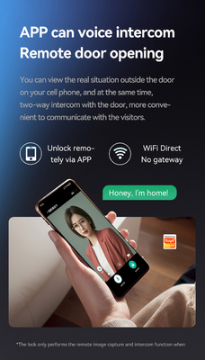 Glomarket Tuya Wifi Smart Lock Aluminium Holztür Gesichtserkennung Palmprint Biometrischer Fingerabdruck Digitaler Smart Lock