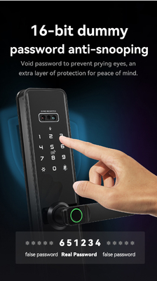 Glomarket Tuya Wifi Smart Lock Aluminium Holztür Gesichtserkennung Palmprint Biometrischer Fingerabdruck Digitaler Smart Lock
