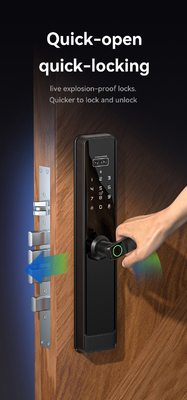 Glomarket Tuya Wifi Smart Lock Aluminium Holztür Gesichtserkennung Palmprint Biometrischer Fingerabdruck Digitaler Smart Lock