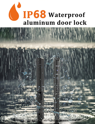 Glomarket Automatisches 3D-Gesichts-Smart Lock mit Kamera-Sicherheit Biometrischer Fingerabdruck Schiebetür Tuya Smart Door Lock