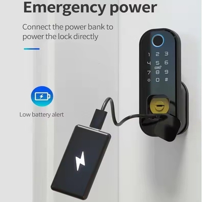 Glomarket Smart Home Wasserdichtes Smart Electric Rim Lock mit Tuya APP Steuerung WIFI Außentor Tür Fingerabdruck Smart Lock