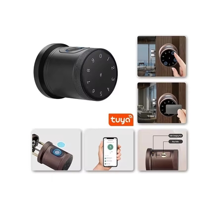 Glomarket New Style Tuya App Control Smart Lock Tür Fingerabdruck Passwort Zuhause Hotel Wohnung Elektronische Smart Door Knob Lock