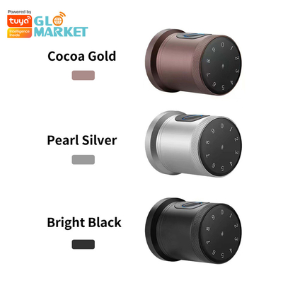 Glomarket New Style Tuya App Control Smart Lock Tür Fingerabdruck Passwort Zuhause Hotel Wohnung Elektronische Smart Door Knob Lock