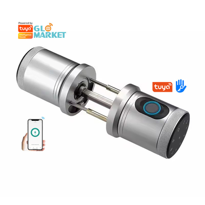 Glomarket New Style Tuya App Control Smart Lock Tür Fingerabdruck Passwort Zuhause Hotel Wohnung Elektronische Smart Door Knob Lock
