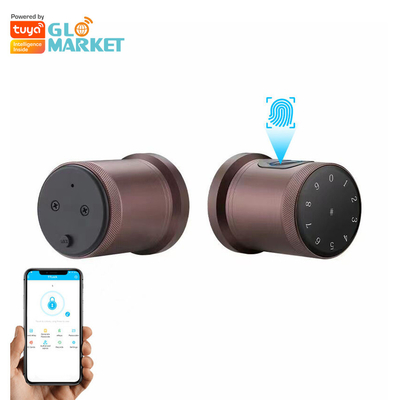 Glomarket New Style Tuya App Control Smart Lock Tür Fingerabdruck Passwort Zuhause Hotel Wohnung Elektronische Smart Door Knob Lock