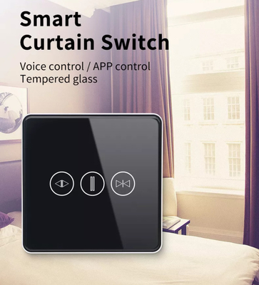 Intelligenter Vorhangschalter WiFi/Zigbee Sprachsteuerung Google Assistant Smart EU Standard Touchscreen Schalter APP Garagentürschalter