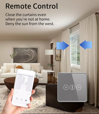 Intelligenter Vorhangschalter WiFi/Zigbee Sprachsteuerung Google Assistant Smart EU Standard Touchscreen Schalter APP Garagentürschalter