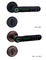 Deadbolt 200 Fingerabdruck-intelligenter Türschloss Tuya Bluetooth
